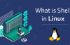 Linux的Shell脚本中基本运算符都有哪些(包含-e -f -d等)